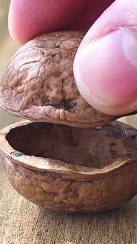 (SOUND)ウォールナット製ワイヤレスカメラ