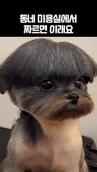 (SOUND)地元の美容室