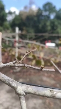 最後まで見ると素晴らしいビデオです。gif