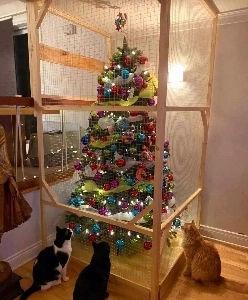 猫のいる家のクリスマスツリー