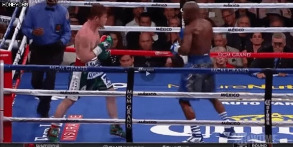 ボクシング界では決して慢性脳疾患を持たないプロボクサー。