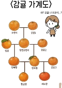 柑橘類の家系図