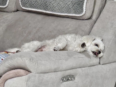 本当にさよならです。さようなら、チャンゴンユ