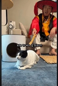 棒に打たれて我に返った猫