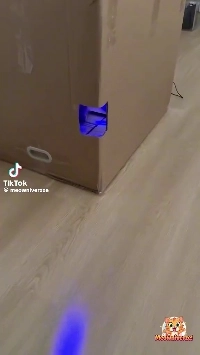 (SOUND)箱がちょっと変です