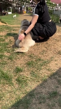 (SOUND)正直なところ、男性は自分の目の前で彼女がこんなことをするのをどうやって我慢できるでしょうか？