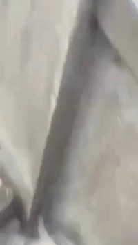 (SOUND)薬物告発）シドニーボンダイビーチ銃乱射テロ逮捕ビデオ