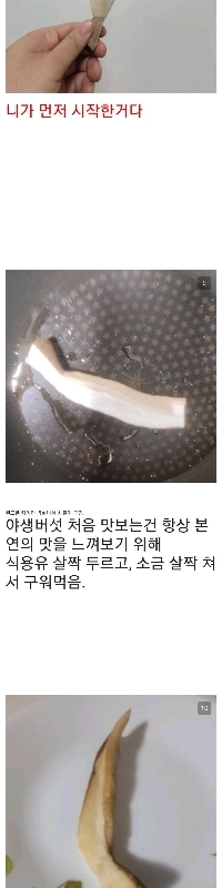 キノコギャラリー 記録されていない野生のキノコを見つけたらどうしますか?