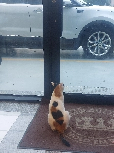 私が思う司法改革案