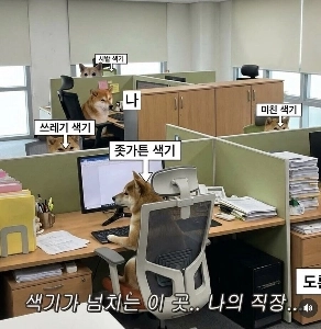 私たちのオフィスは色彩豊かです