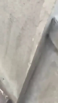 (SOUND)オーストラリアのテロリスト1名が死亡、1名が重傷