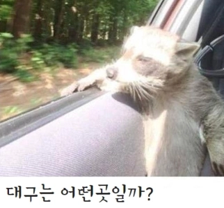 大邱寿城区長の現況