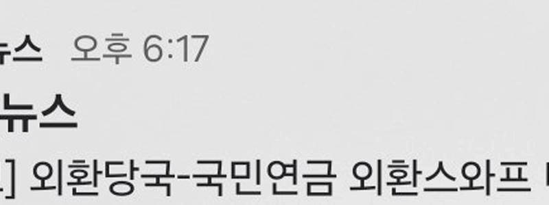 【速報】外国為替当局－国民年金為替スワップ来年末まで延長