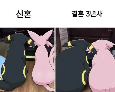 新婚夫婦 vs 結婚3年目