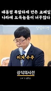 (SOUND)リー氏は「「政府はだまされた」「」と批判し株価は急落…ドーウォンシスはどうなったのか?