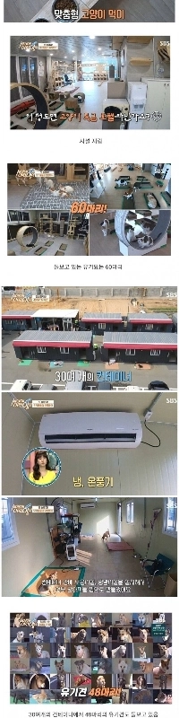 住所は絶対に明かしてはいけない建設会社経営者の趣味スポット。