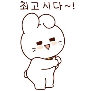 2000ウォンのハンバーガーみたいな感じです。