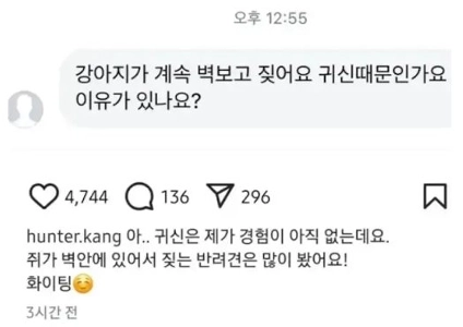 犬が壁に向かって吠えたら – カン・ヒョンウクの答え