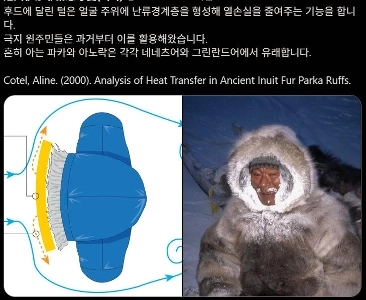 (SOUND)??? : 中綿入りの帽子の毛皮の目的は何ですか?