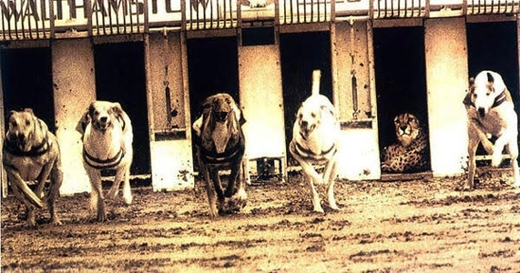 カンボジア、台湾、韓国を揶揄する写真を見て感じること