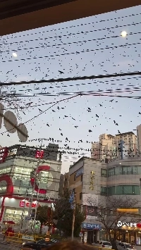 (SOUND)昨日の釜山