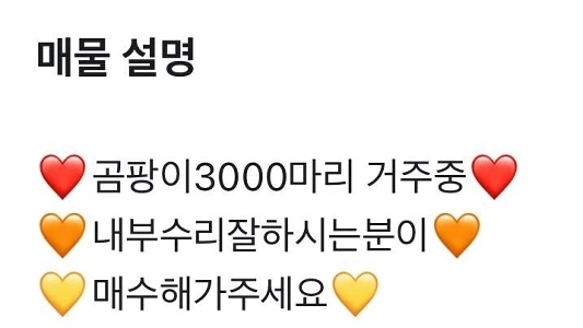 史上最高のニンジン不動産販売