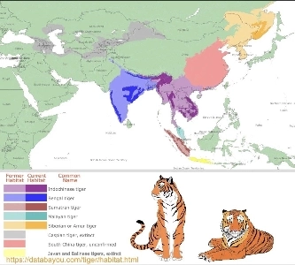韓国人にガン臭がないのは遺伝子によるものではないことが明らかになった。