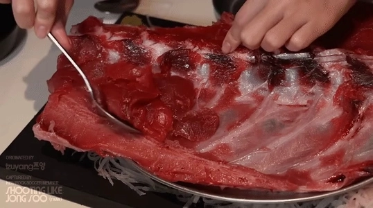 ツヤン「「「私も人間です」」」衝撃発言