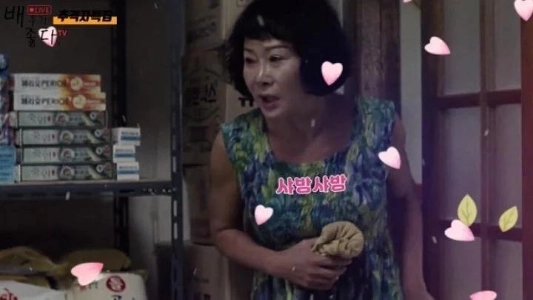 チェイサースーパーおばちゃんの設定