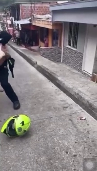 (SOUND)【薬物乱用】ピットブル、警察に相談後に死亡.mp4