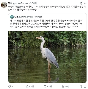 韓国国立中央博物館の池の秘密