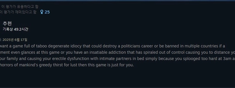 某 19 歳以上向けゲームの実に印象的なレビュー。