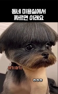 ガンゴルジさんは近所のレストランで髪を切った。