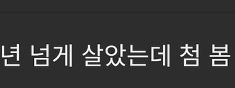 ソウルに30年以上住んでいますが初めて見ました。jpg