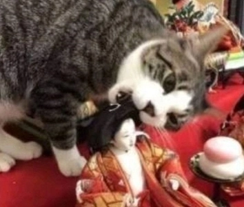 日本で実際に起きた事件 haha​​.jpg