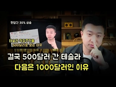 リアルタイムのテスラビデオ