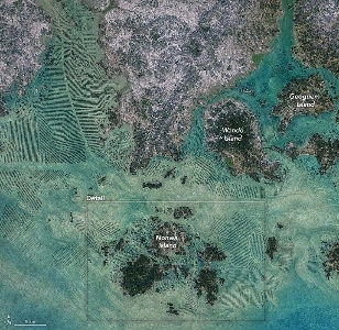 NASAが証明した韓国人の海苔好き