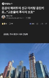 金融監督院は、投資家を為替高から守るための策を思いついた。