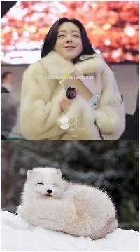 [ITZY] ユナの目の笑顔が北極キツネに似ている