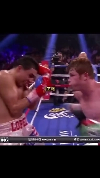 (SOUND)1秒間に7回パンチを打つ男