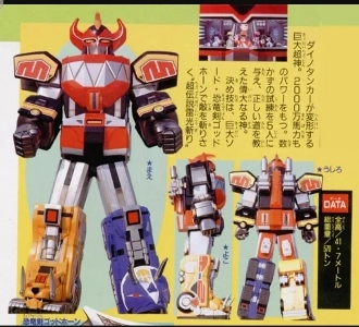 粗末な義足を装着された少女