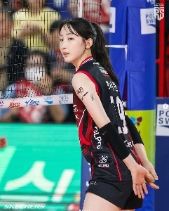 これはバレーボールですか、それともコメディですか？