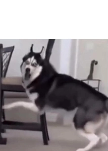 (SOUND)AIではなく現実の状況