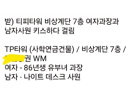 チラシ)汝矣島男の情事