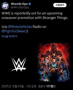 WWE、Netflixのストレンジャー・シングスとのコラボレーションプロモーションを計画.JPG
