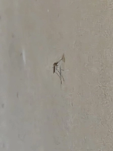 地球温暖化は本当に起こっています;;