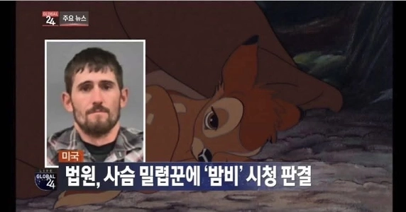 裁判所は数百頭の鹿を殺した密猟者に判決を下す