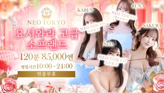 日本の風俗店ソープランドの料金水準