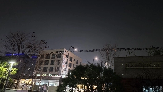 なぜカラスがこんなにたくさんいるのでしょうか？