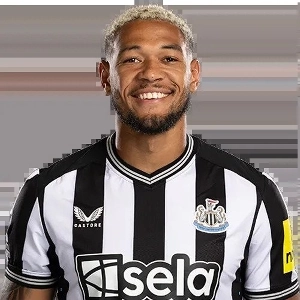 チキンハウスファン